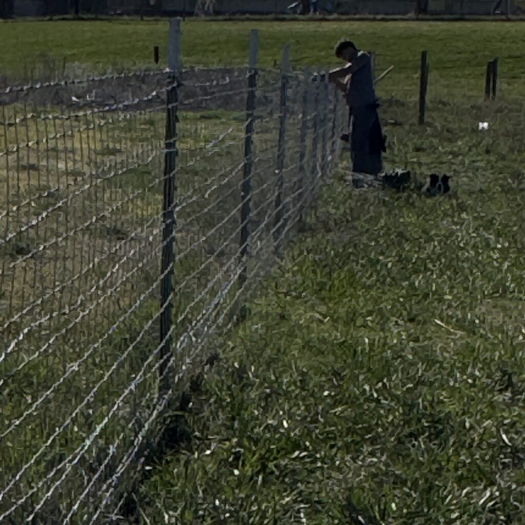 img 0163